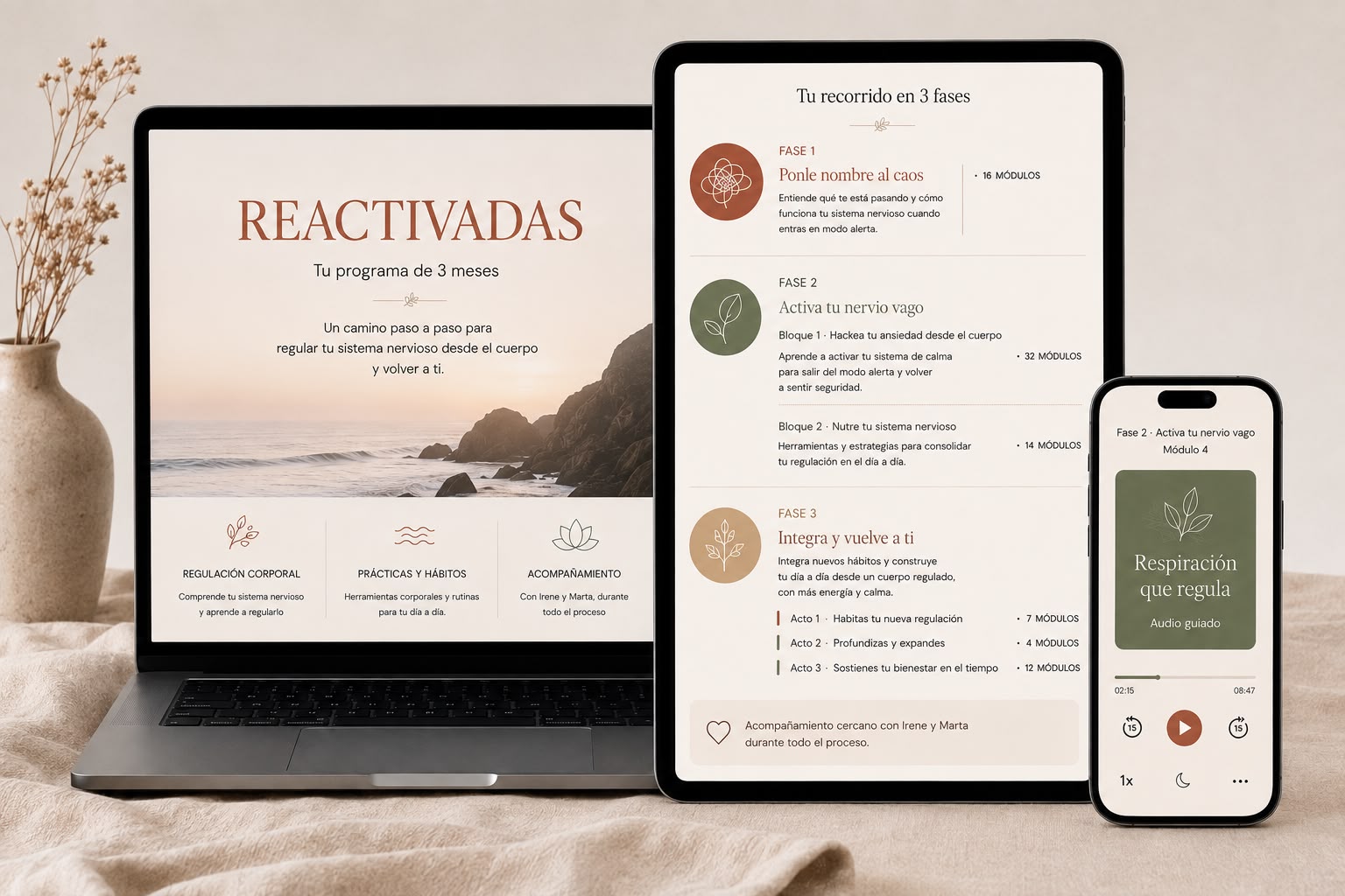 Programa REACTIVADAS